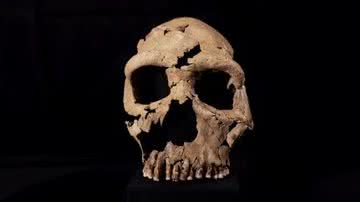 Pesquisadores recriam em 3D rosto de mulher neandertal de 75 mil anos atrás